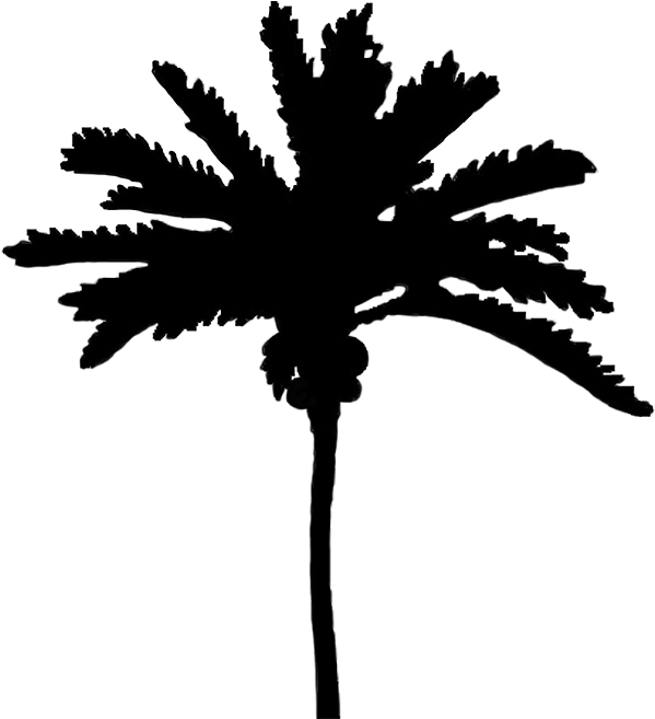Silhouettes Of Palm Trees Png - Silhouette Cute Black Tree Png (610x709), Png Download