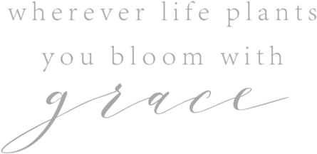 Bloom - Calligraphy (1000x482), Png Download