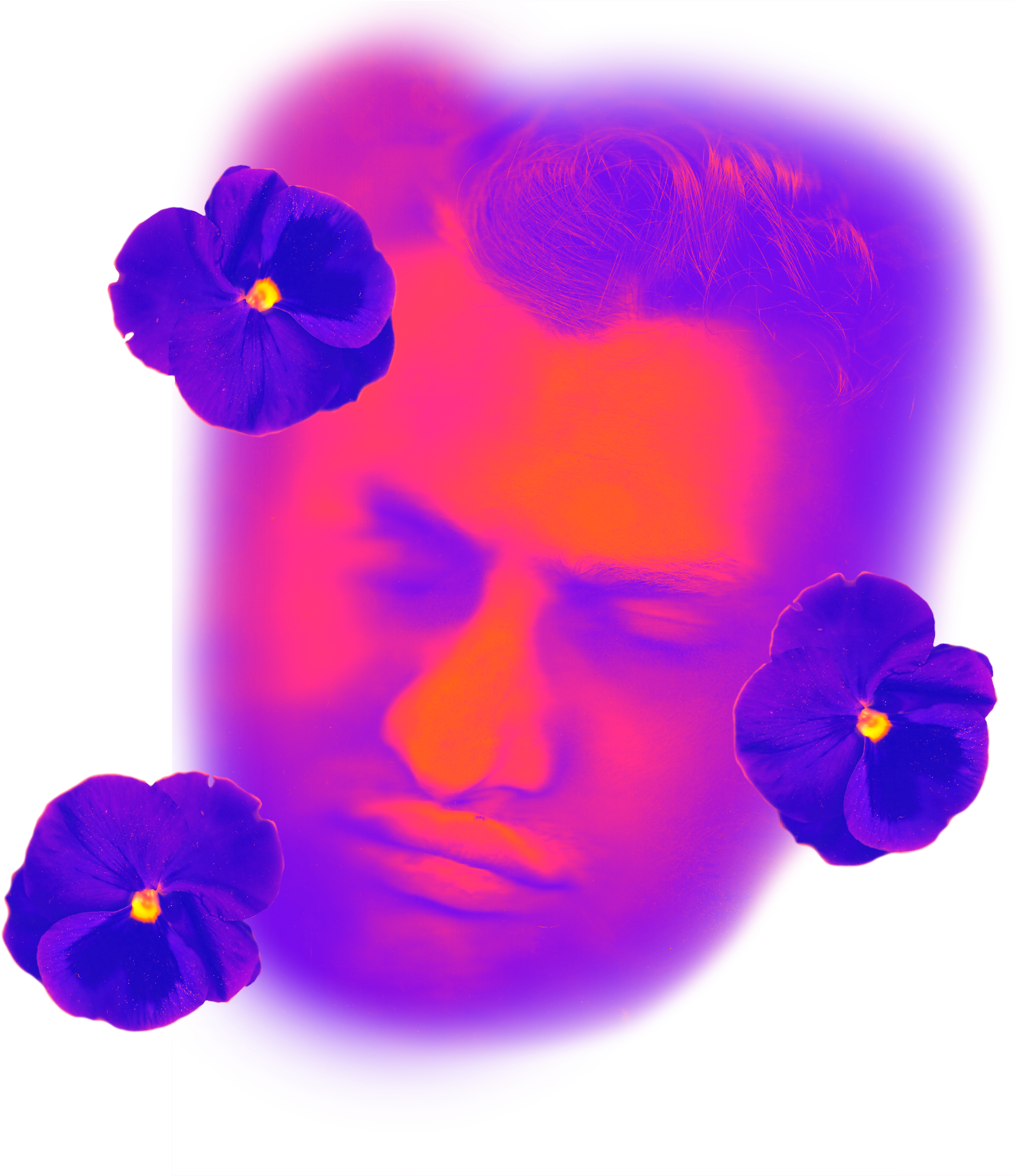 Pansy (2500x2500), Png Download