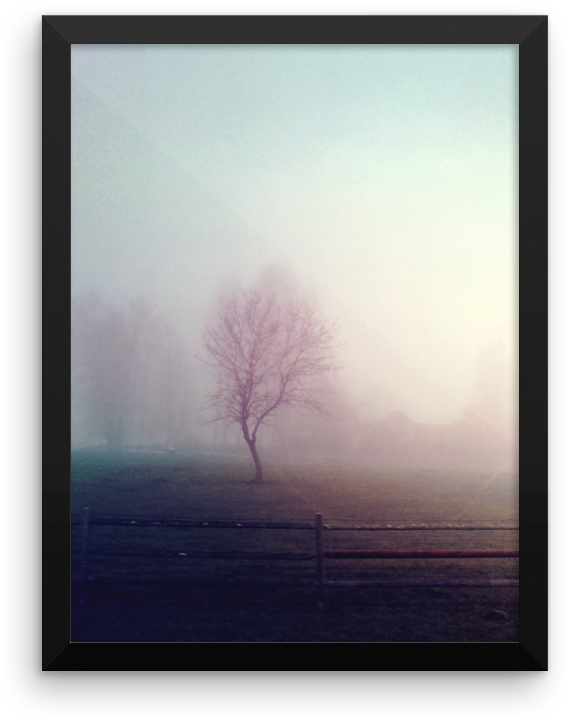Vintage Lomo Processed Lonely Tree - Picture Frame (1000x1000), Png Download