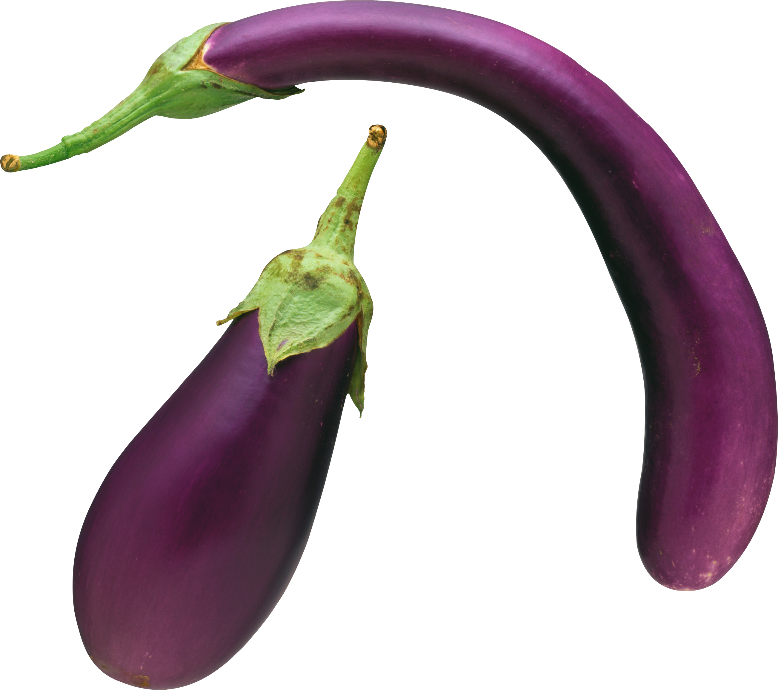 Collection Of Free Bell Peppers And Chili Peppers Cliparts - Long Eggplant Png (2606x2313), Png Download