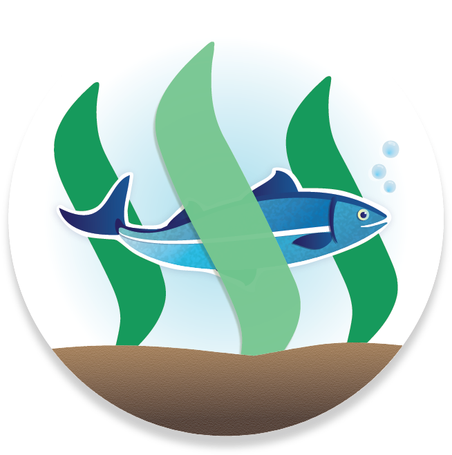 Weekly Resteem - Steemit (664x689), Png Download