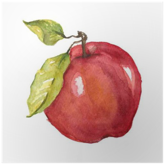 Watercolor Hand Drawn Apple Poster - Apple Fruit Drawing Watercolor (400x400), Png Download