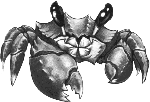 Apricot Crab - Wiki (534x372), Png Download