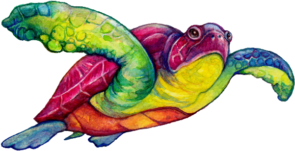 Magicful Home Rainbow Sea Turtle - Mug (600x600), Png Download