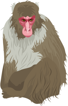 201412 Japanese Monkey - Clip Art (400x400), Png Download