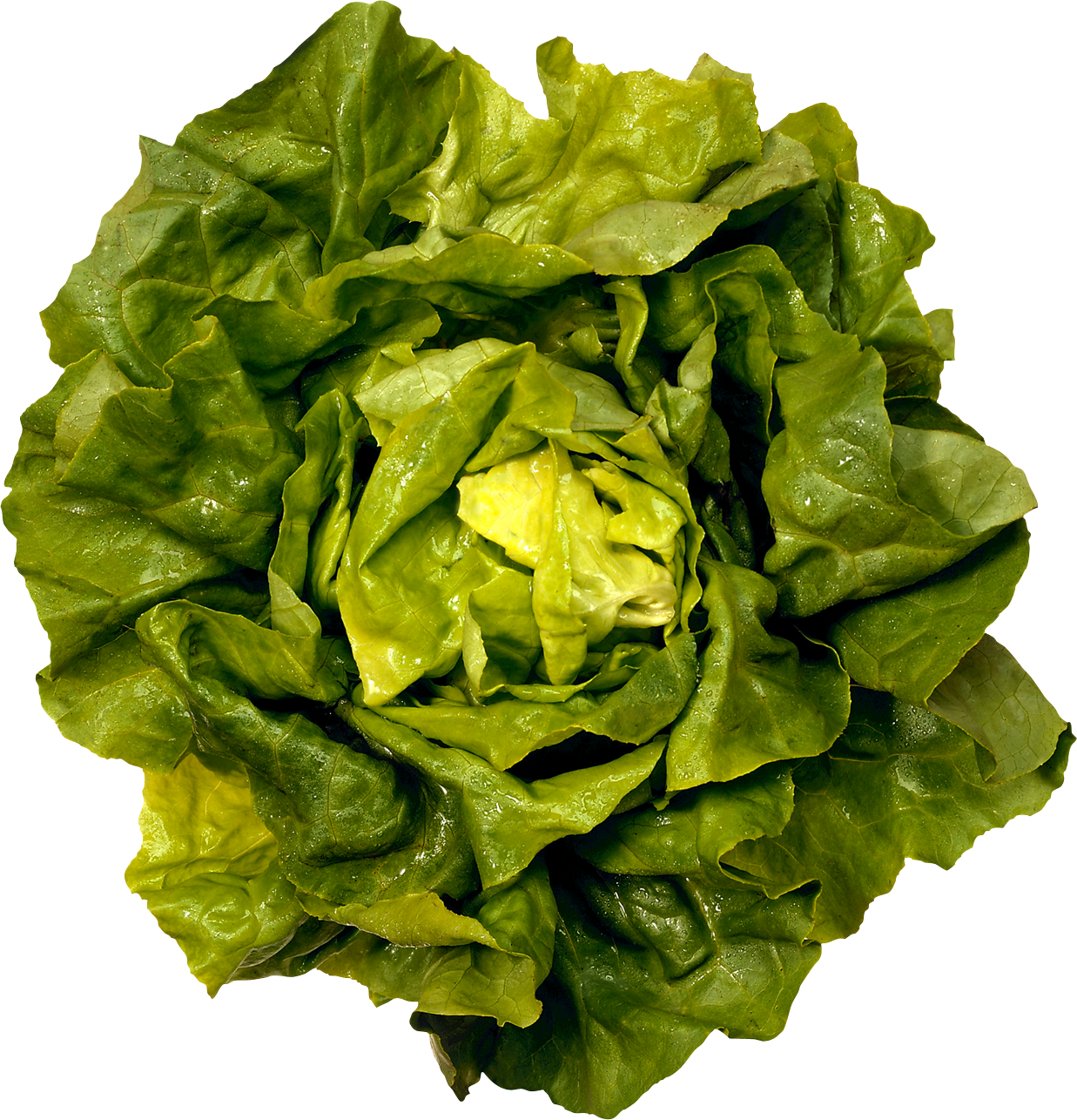 Salad Png (1237x1286), Png Download