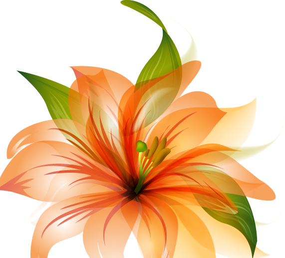 Flower Vector Png - Orange Lily Flower Shower Curtain (571x517), Png Download