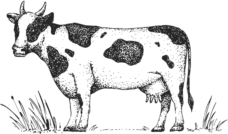 Farmers Tractor Market Logo (1024x1024), Png Download