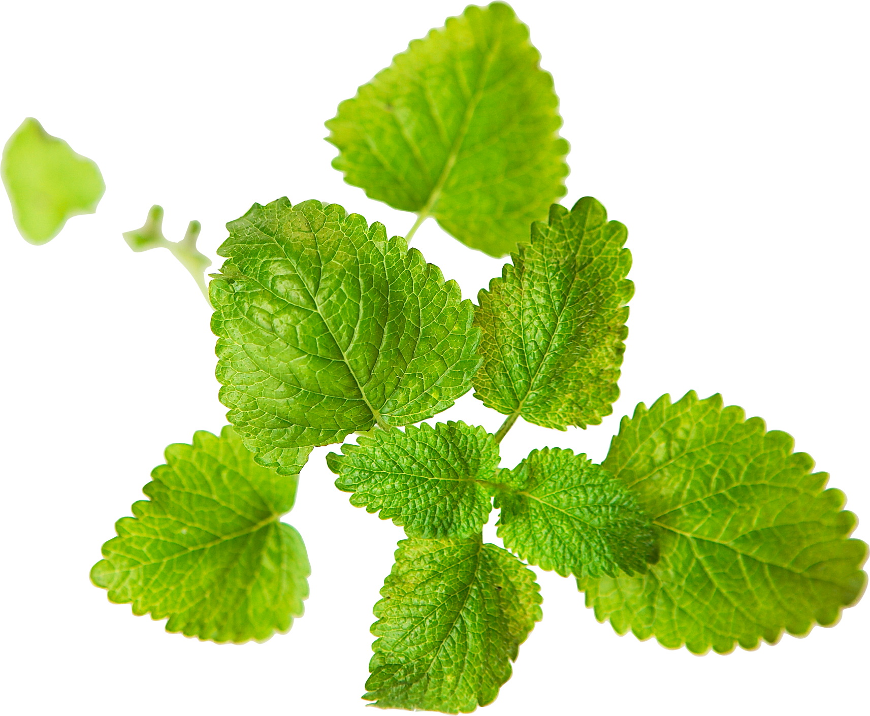 Fruit Graphic Design Vegetable Wallpaper - سبزی اماده کارت ویزیت (1713x1410), Png Download