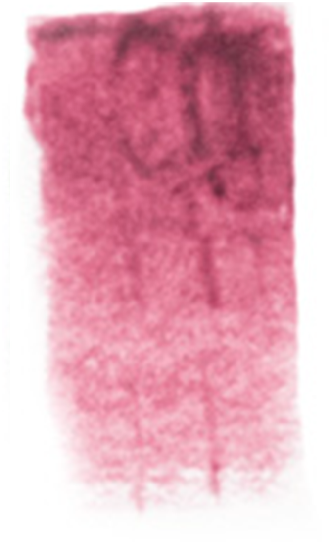 Skin Illustrator Glazing Gels, Sunburn 1, 1 Oz - Lip Gloss (1600x1600), Png Download