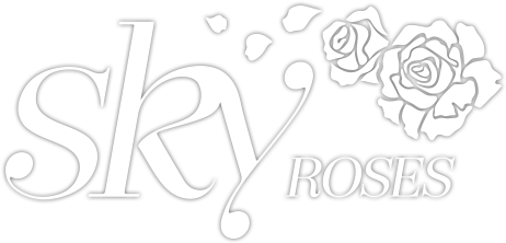 Home - Garden Roses (498x304), Png Download