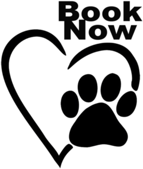 Website Photos (583x599), Png Download