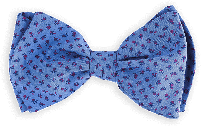 Vabien Bow Tie Blue Cotton - Blue (800x500), Png Download