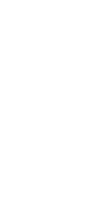 Hattie Windley Hattie Windley - Symmetry (313x747), Png Download