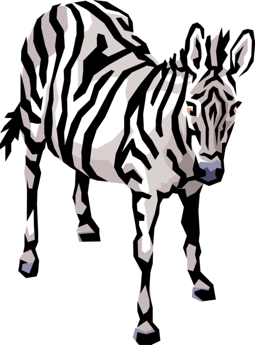 Vector Illustration Of Striped African Zebra Horse - Cliparts Of Animals To Download (518x700), Png Download