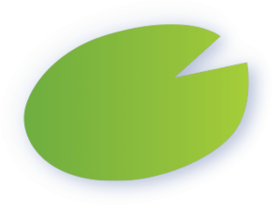 Lily Pad Clipart Small - Lily Pad Leaf Clipart (640x480), Png Download