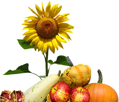 Cafepress ! Samsung Galaxy S8 Case (640x479), Png Download