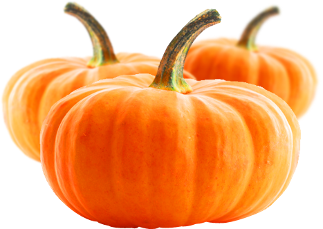 Buy Vegetable Purees Buy Fruit Purees Vegetable Purees - Pumpkin (467x331), Png Download