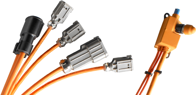 High Voltage Eds Systems - High Voltage Wiring Harness (750x370), Png Download