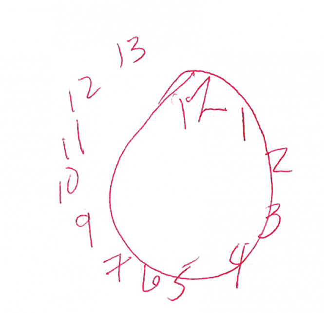 Additional Pecan Recommendations May Include Suggestions - Clock (665x642), Png Download