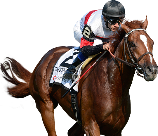 Sportech - Caballo De Carreras Png (541x465), Png Download