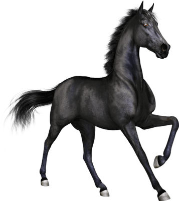 Black Horse Png (400x400), Png Download