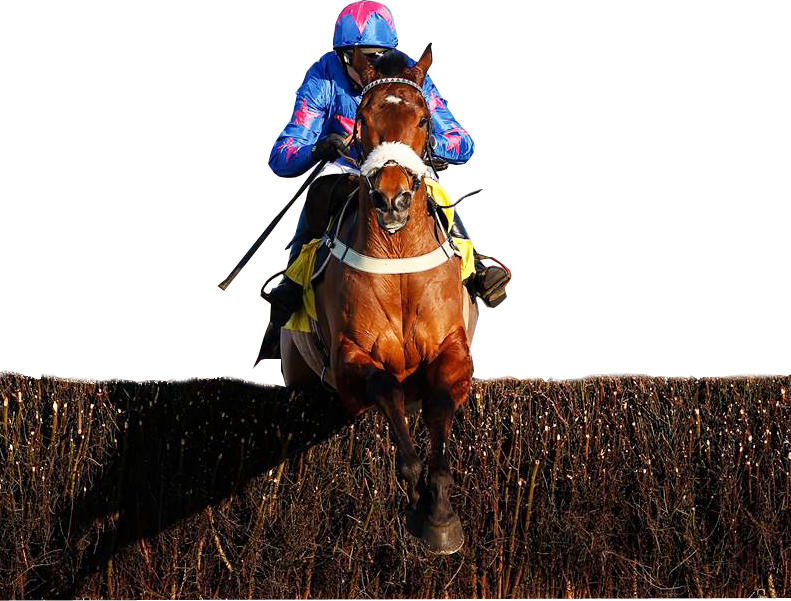 Paddy Brennan Horse Racing No Background - Race Horse Png (791x601), Png Download