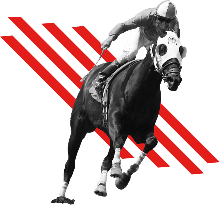 Woodbine Events 2018 Recap - Horse Racing Transparent Clip Art (752x700), Png Download