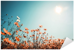 Vintage Landscape Nature Background Of Beautiful Cosmos - Vintage Flower Fields (400x400), Png Download