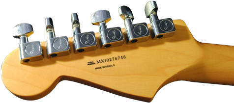 Mexican Fender Stratocaster Serial Number - Numero De Serie Fender (500x291), Png Download