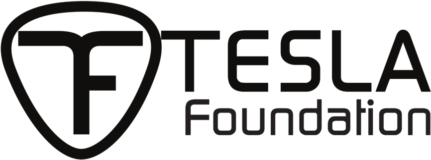 Logo Icon Tesla Hi Res Large - Information Technology For Digital Library Management (1000x352), Png Download