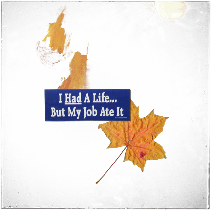 Aaron Graham (430x429), Png Download