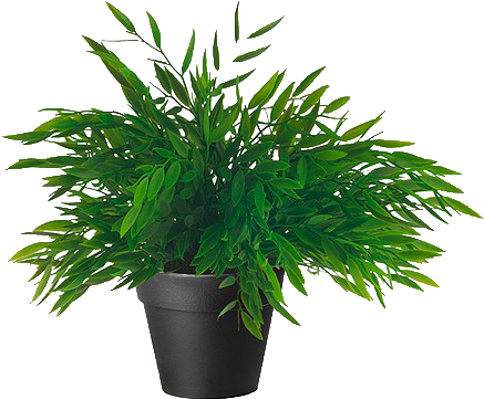 Plant Png Tumblr - Ikea Artificial Potted Plant, House Bamboo, 11 Inch (500x500), Png Download
