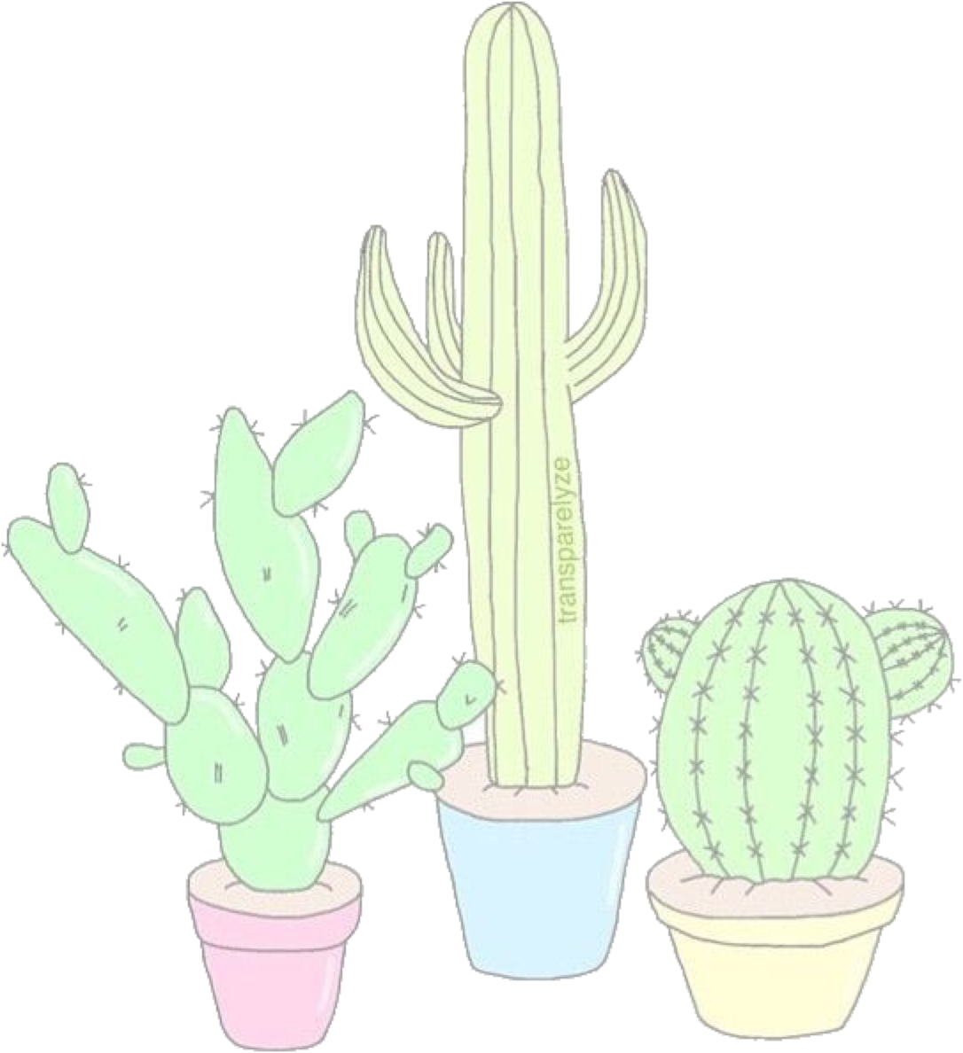 Aesthetics & Overlays Cacti, Tumblr Drawings, Cute - San Pedro Cactus (500x500), Png Download