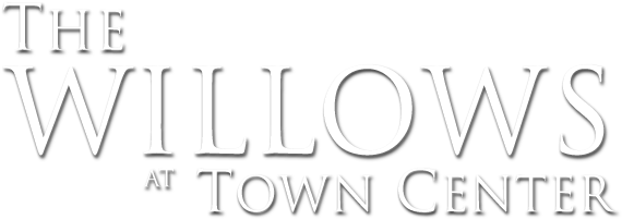 The Willows At Town Center - Graphics (740x220), Png Download