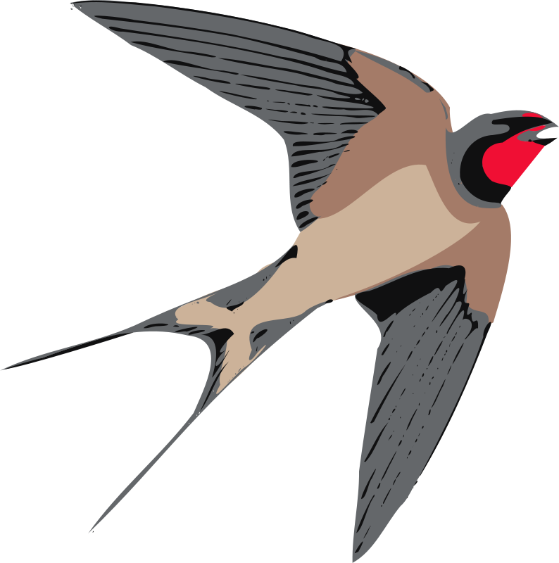 Sparrow Png Free Download - Swallow Clip Art (594x599), Png Download