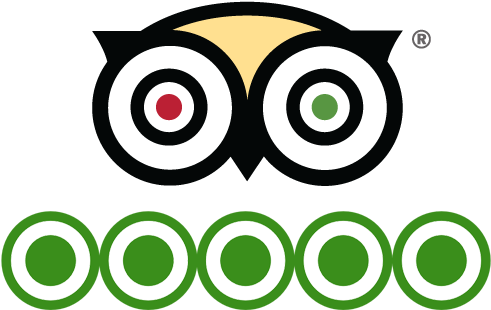 Tripadvisor - Trip Advisor Circles (534x370), Png Download