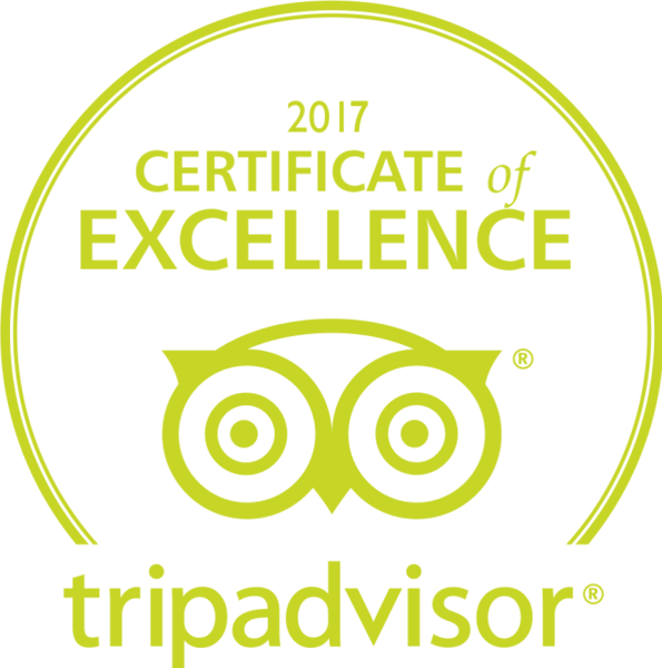 Certificate Of Excellent By Trip Advisor - 2018 Certificate Of Excellence Tripadvisor (595x600), Png Download