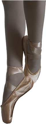 Ballet, Jazz, Modern, Tap, Drama, Gymnastics We Offer - Ballet (293x430), Png Download