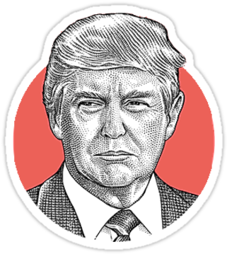 Donald Trump - Trump Inauguration T Shirt (375x360), Png Download