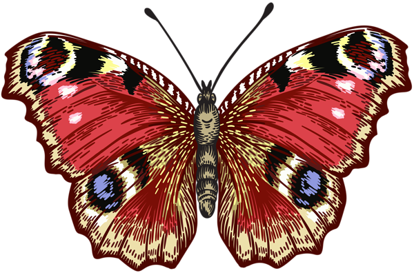 Butterfly Png Clip Art Image - American Painted Lady (600x396), Png Download