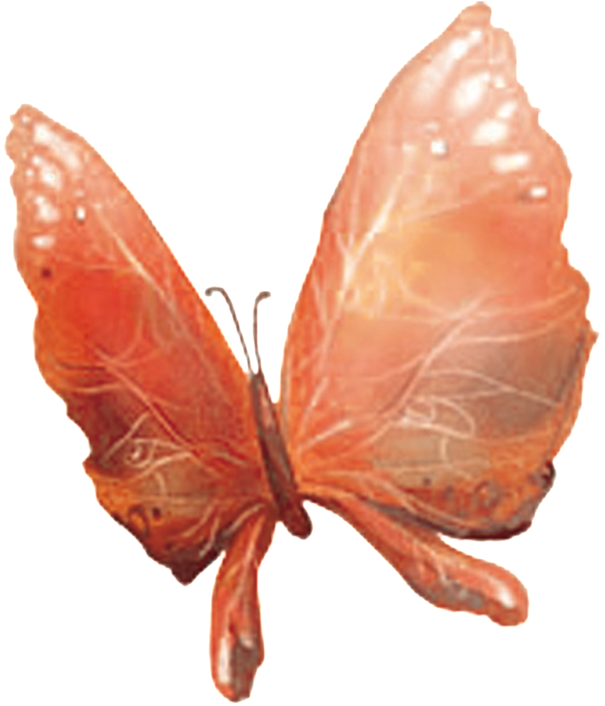 Hd Beautiful Colorful Butterfly Png - Butterfly (1024x1024), Png Download