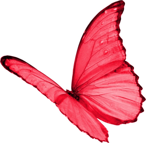 Papillon Clipart Red Butterfly - Butterflies Transparent Red (600x587), Png Download