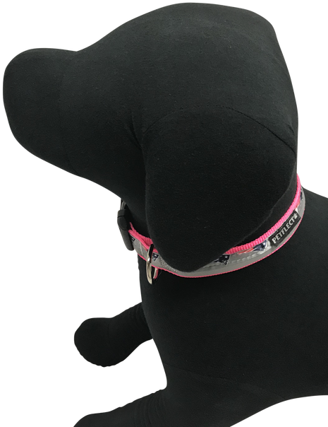 New England Patriots Dog Collar - Baseball Cap (500x622), Png Download