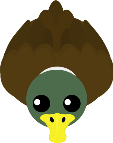 Duck 0 - Cartoon (500x500), Png Download