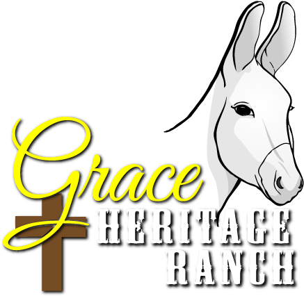 Donkey (450x450), Png Download