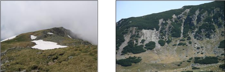 Nival Depression West Of Parângul Mare Peak - Lacul Calcescu (809x246), Png Download