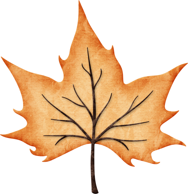 Фото, Автор Arana На Яндекс - Hojas De Otoño .png (776x800), Png Download