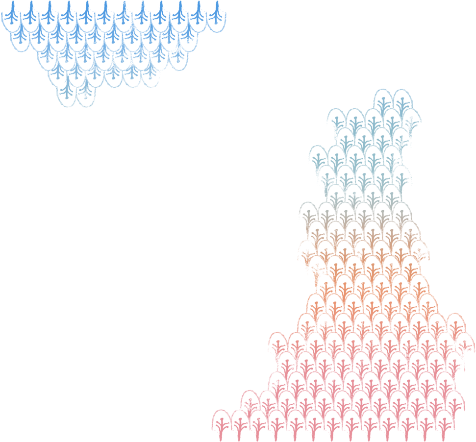 Bg Pattern 05 (1000x924), Png Download